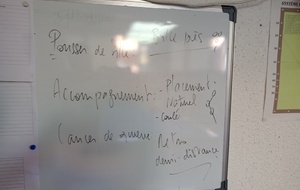 Les 3 types de coup de queue